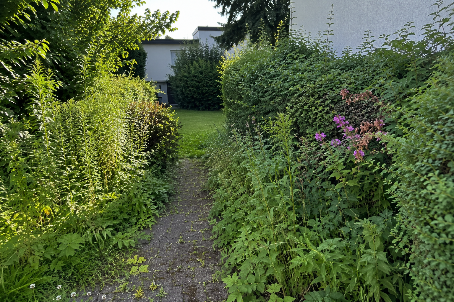 Garten vor der Gartenpflege in Mönchengladbach